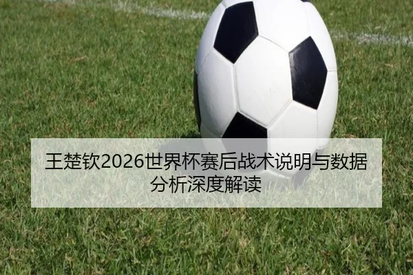 王楚钦2026世界杯赛后战术说明与数据分析深度解读