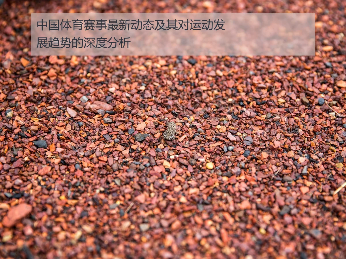 中国体育赛事最新动态及其对运动发展趋势的深度分析